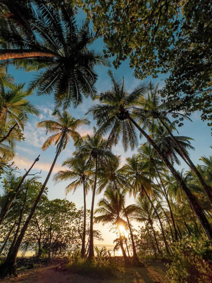 Tropical Beach أوفيتا المظهر الخارجي الصورة